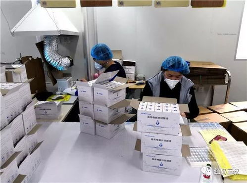 558家企業近兩萬人有序復工，青島高新區如何筑牢“防疫網”？