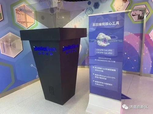 濟(jì)南高新技術(shù)產(chǎn)業(yè)開發(fā)區(qū)管理委員會(huì) 文明實(shí)踐 政策帶動(dòng)與技術(shù)創(chuàng)新賦能種源安全 濟(jì)南高新區(qū)政企聯(lián)動(dòng)支撐濟(jì)南打造 種業(yè)之都